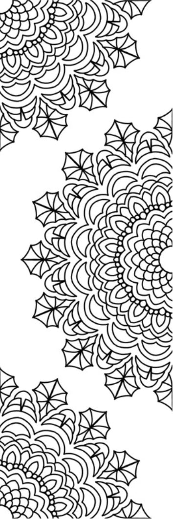CIY Set (12)
