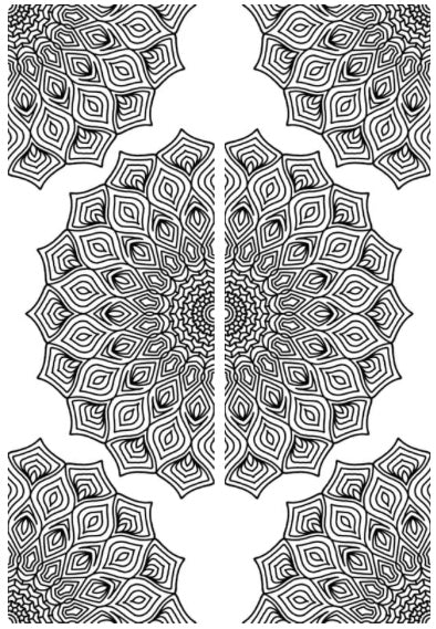 CIY Design 5